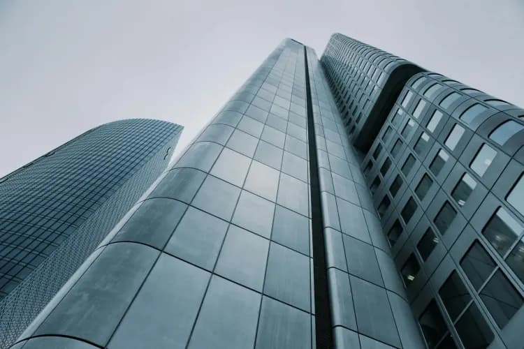 Anonim Şirket ve Limited Şirket Arasındaki Farklar: Hangisini Seçmeliyim?